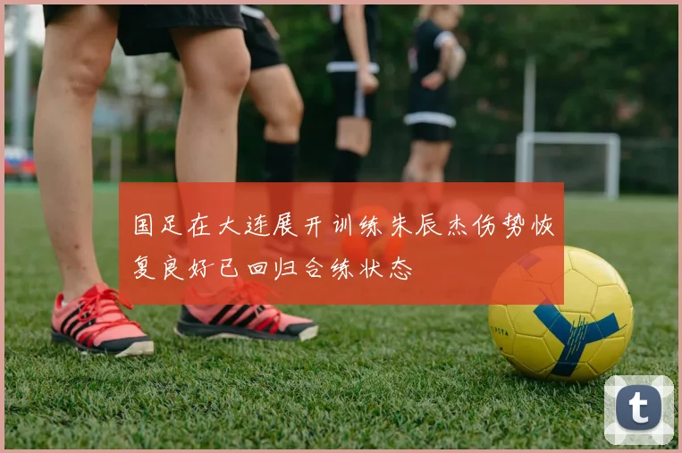国足在大连展开训练朱辰杰伤势恢复良好已回归合练状态