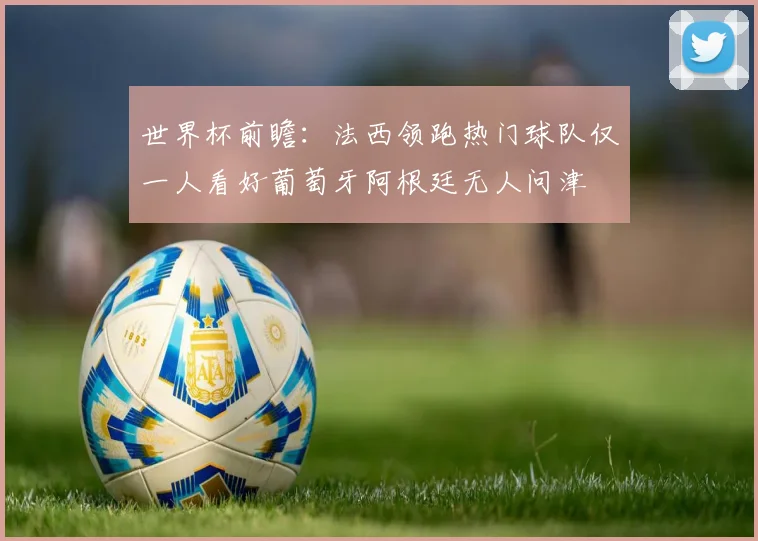 世界杯前瞻：法西领跑热门球队仅一人看好葡萄牙阿根廷无人问津